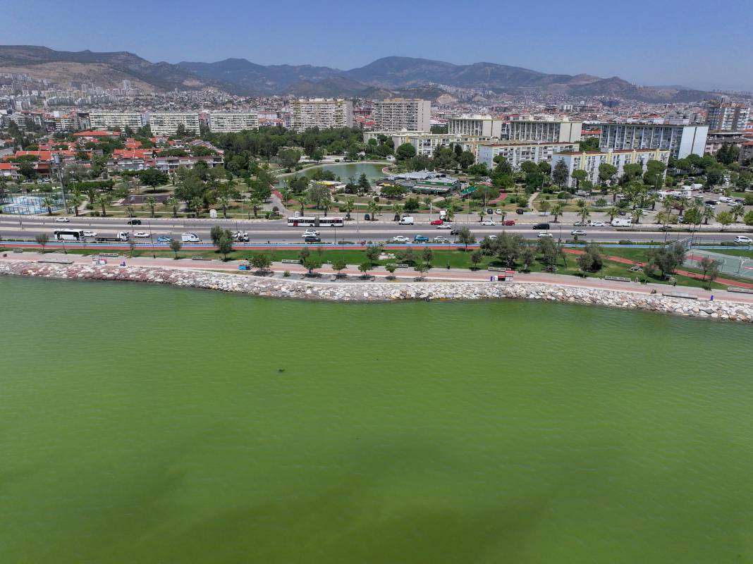 İzmir’de denizin rengi değişti! Görüntü ne ifade ediyor? 19